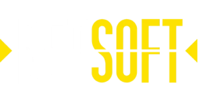 partners who work with spinsports