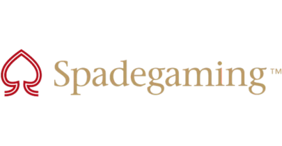 partners who work with spinsports