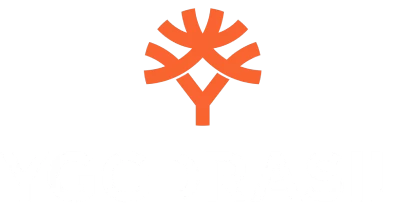 partners who work with spinsports